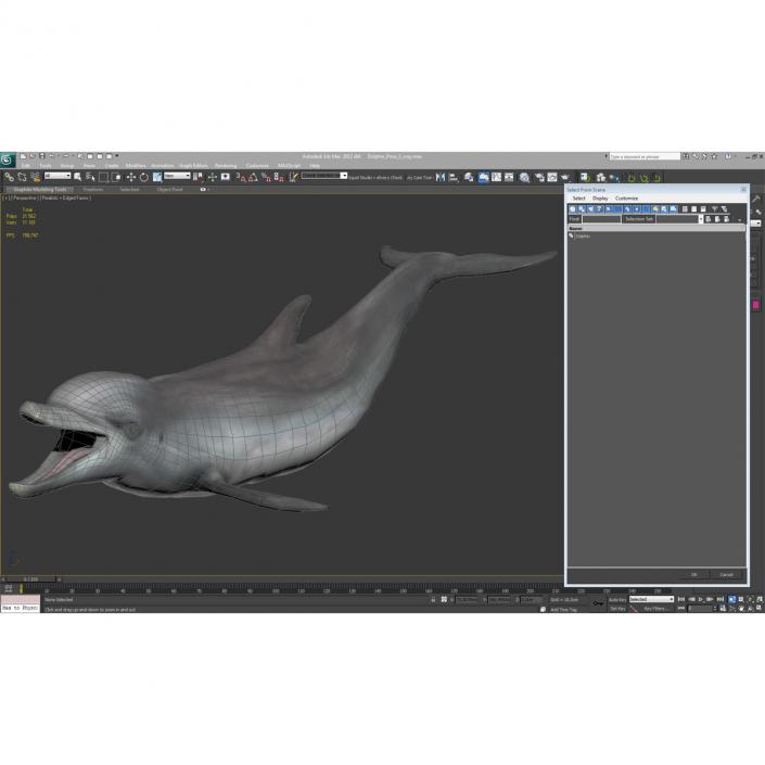 Dolphin Pose 3 3D model