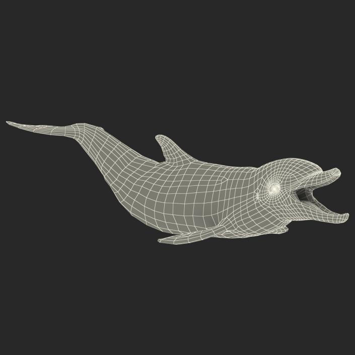 Dolphin Pose 3 3D model