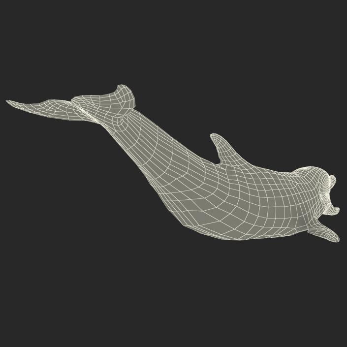 Dolphin Pose 3 3D model