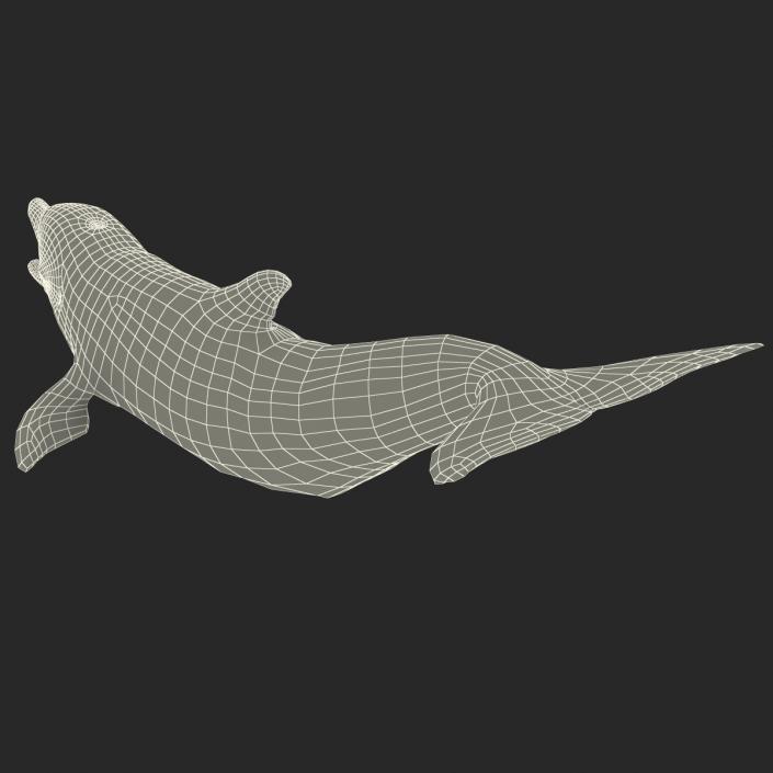 Dolphin Pose 3 3D model