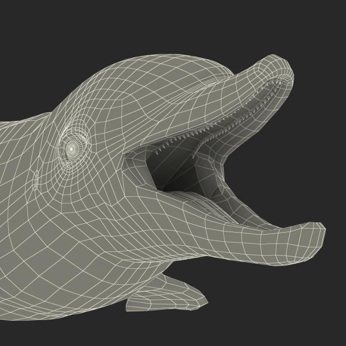 Dolphin Pose 3 3D model