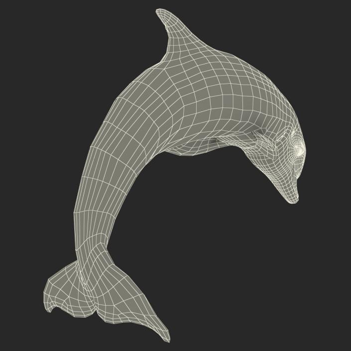 Dolphin Pose 2 3D model