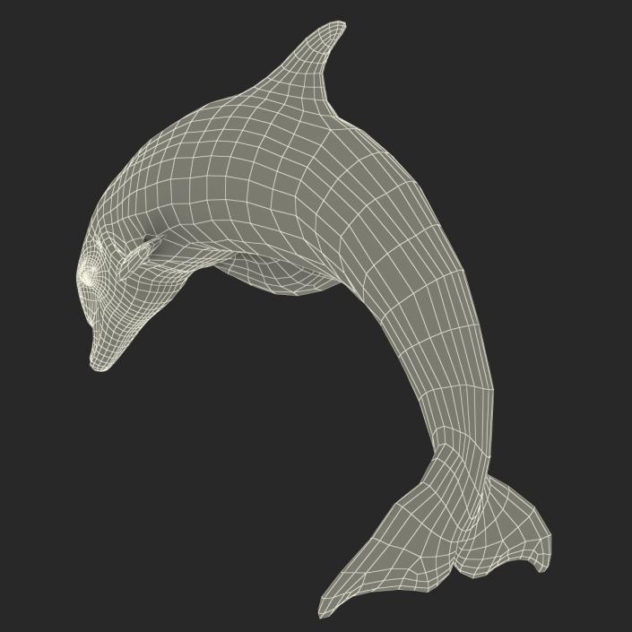 Dolphin Pose 2 3D model