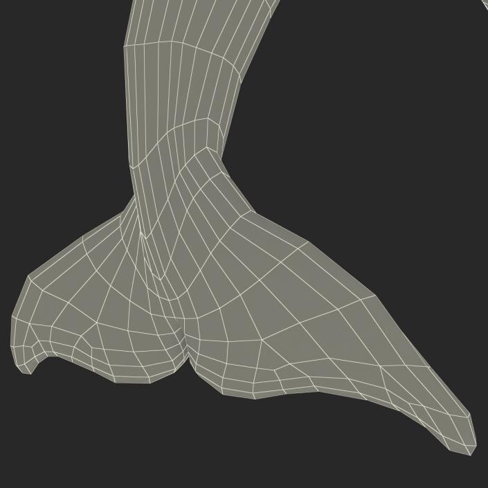 Dolphin Pose 2 3D model