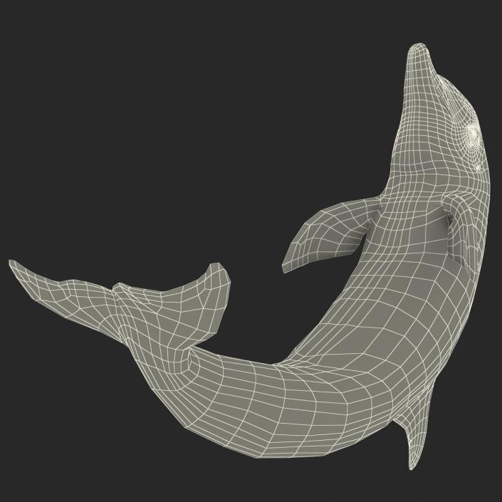 Dolphin Pose 2 3D model