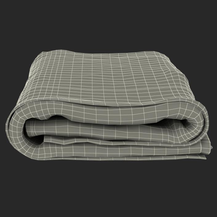 Towel Blue with Fur 3D model