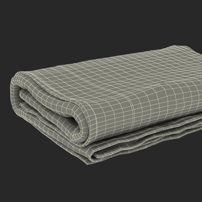 Towel Blue with Fur 3D model