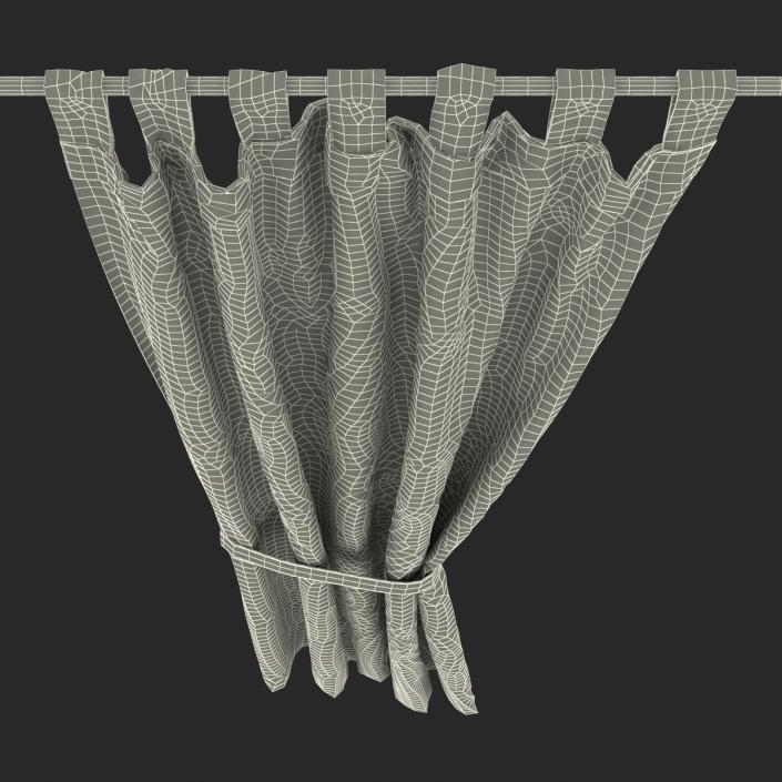 Curtain 3D model