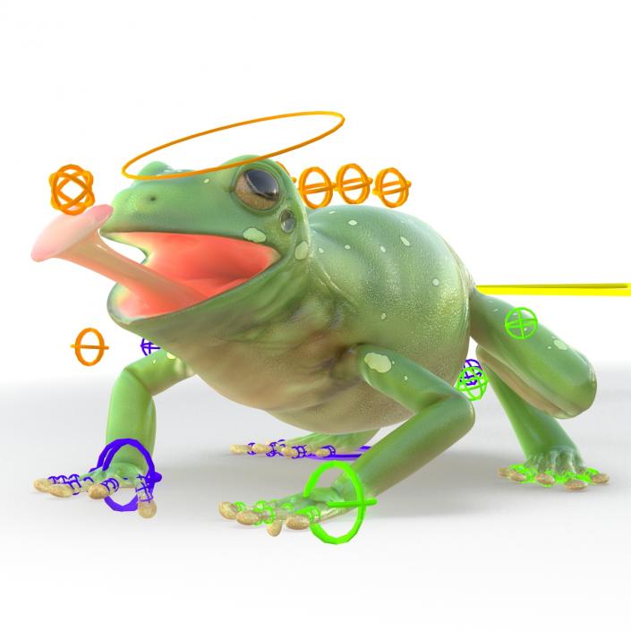 3D Australian Green Tree Frog Rigged model