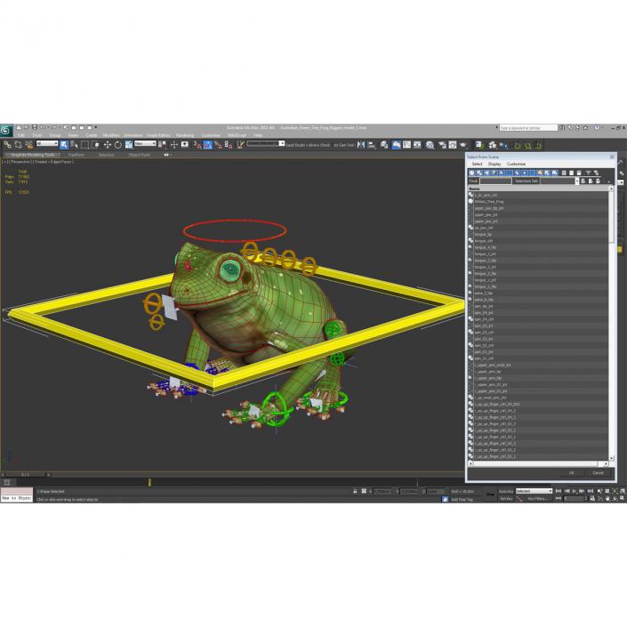 3D Australian Green Tree Frog Rigged model