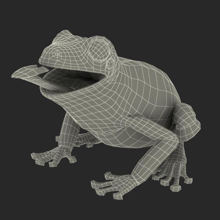 3D Australian Green Tree Frog Rigged model