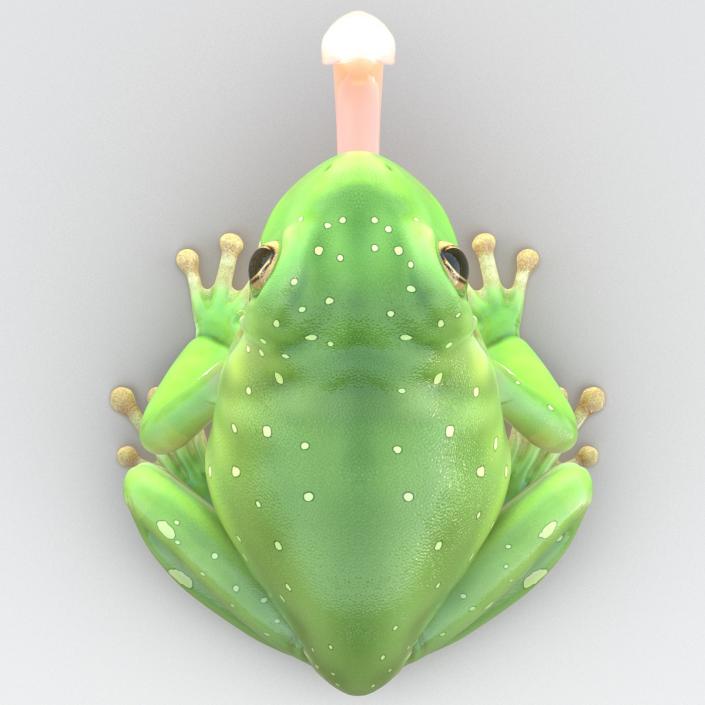 3D Australian Green Tree Frog Pose 3 model