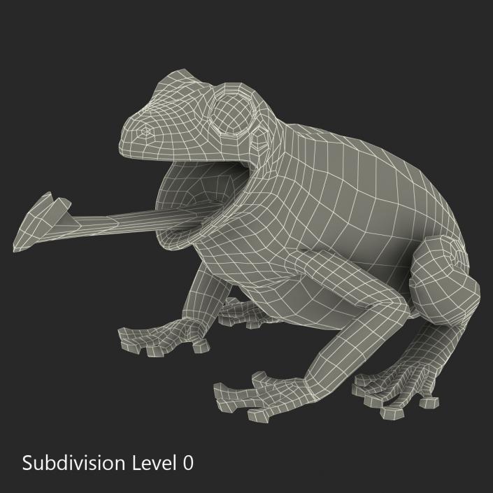 3D Australian Green Tree Frog Pose 3 model