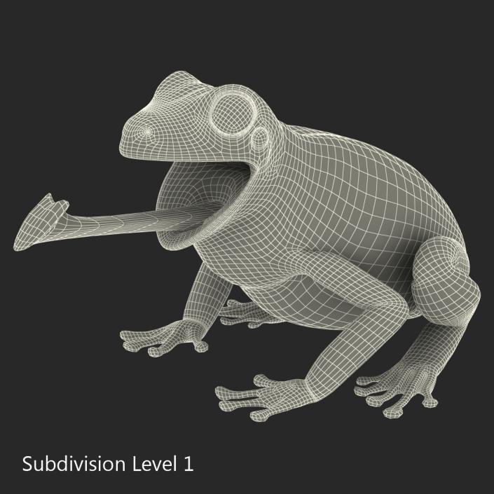 3D Australian Green Tree Frog Pose 3 model