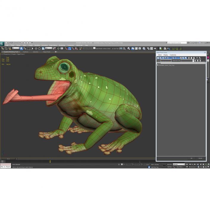 3D Australian Green Tree Frog Pose 3 model