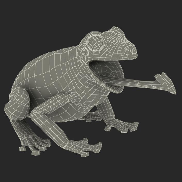 3D Australian Green Tree Frog Pose 3 model