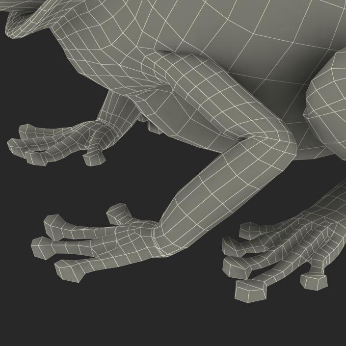 3D Australian Green Tree Frog Pose 3 model