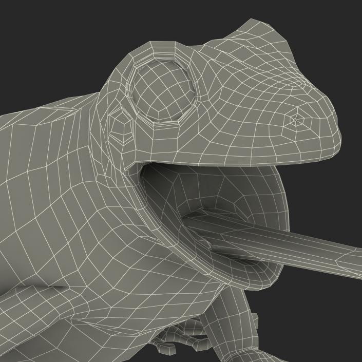 3D Australian Green Tree Frog Pose 3 model