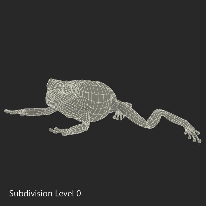 Australian Green Tree Frog Jumping Pose 3D model