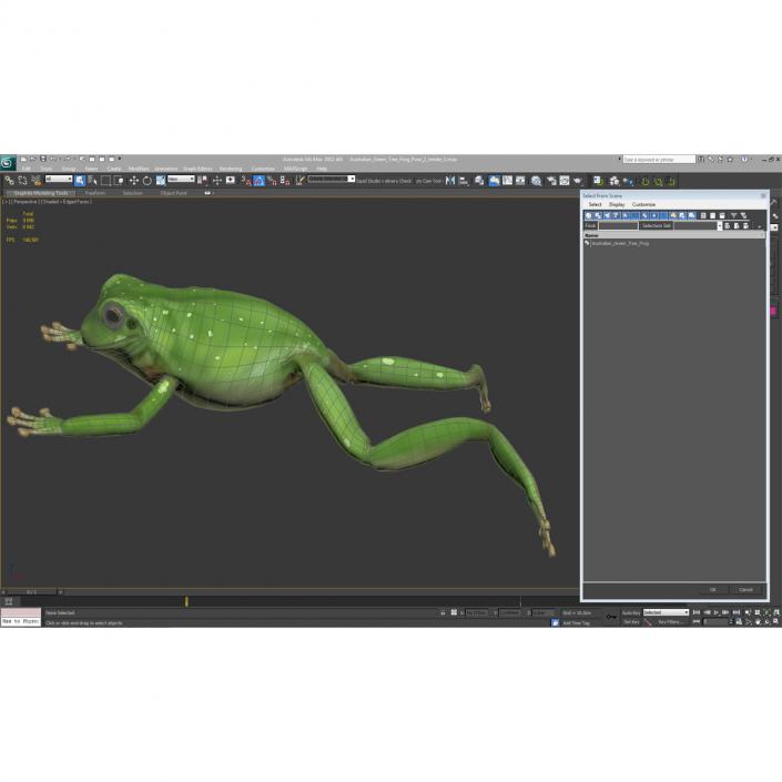 Australian Green Tree Frog Jumping Pose 3D model