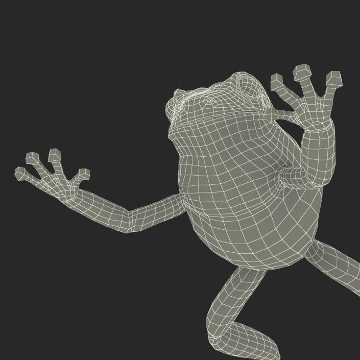 Australian Green Tree Frog Jumping Pose 3D model