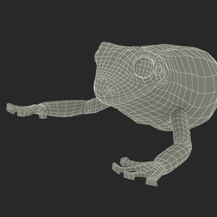 Australian Green Tree Frog Jumping Pose 3D model