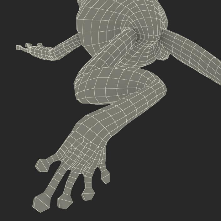 Australian Green Tree Frog Jumping Pose 3D model