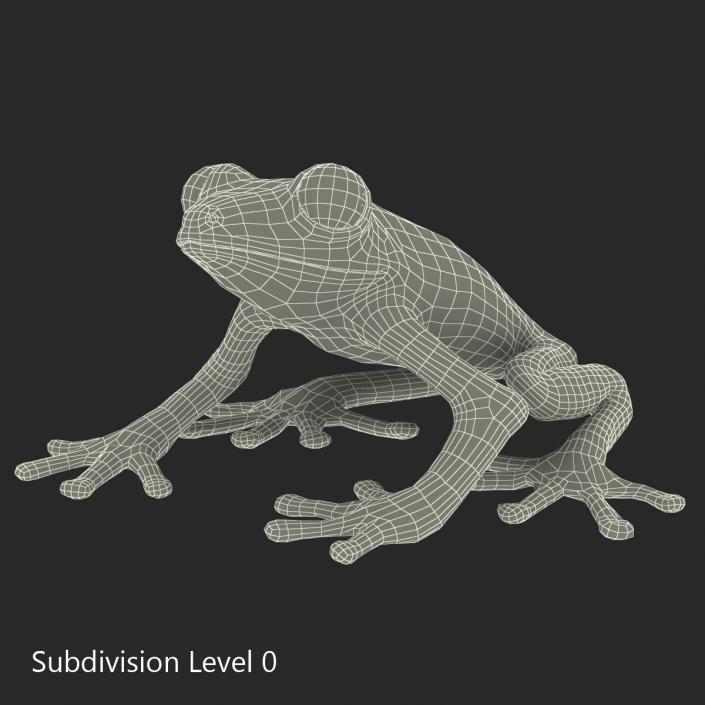 3D model Red Eyed Tree Frog Pose 4