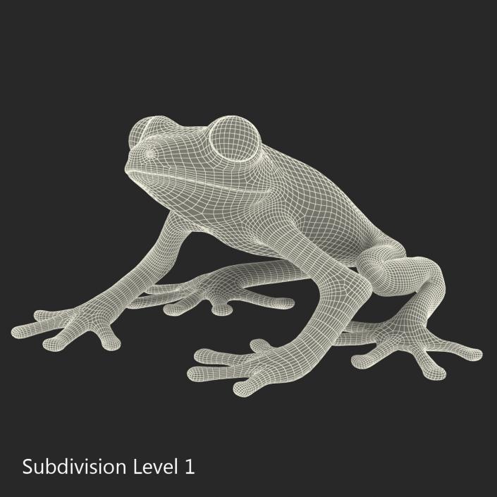 3D model Red Eyed Tree Frog Pose 4