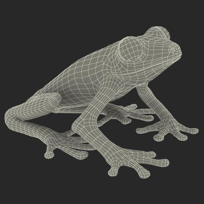 3D model Red Eyed Tree Frog Pose 4