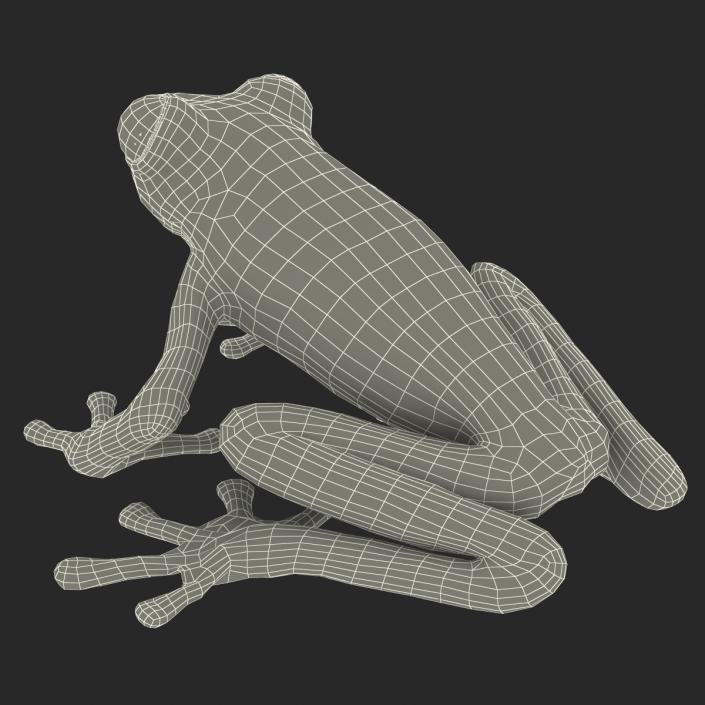 3D model Red Eyed Tree Frog Pose 4