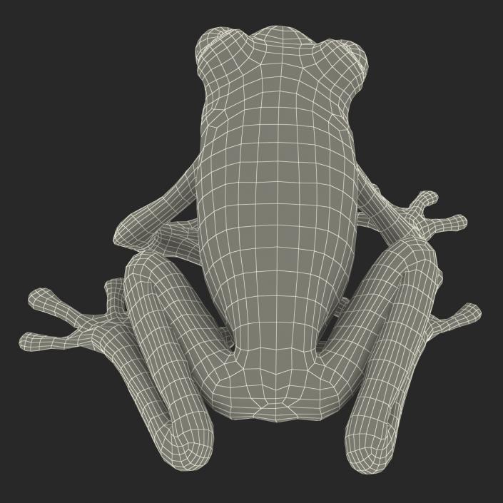 3D model Red Eyed Tree Frog Pose 4