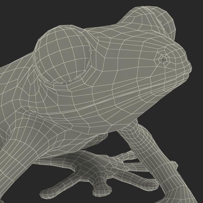 3D model Red Eyed Tree Frog Pose 4