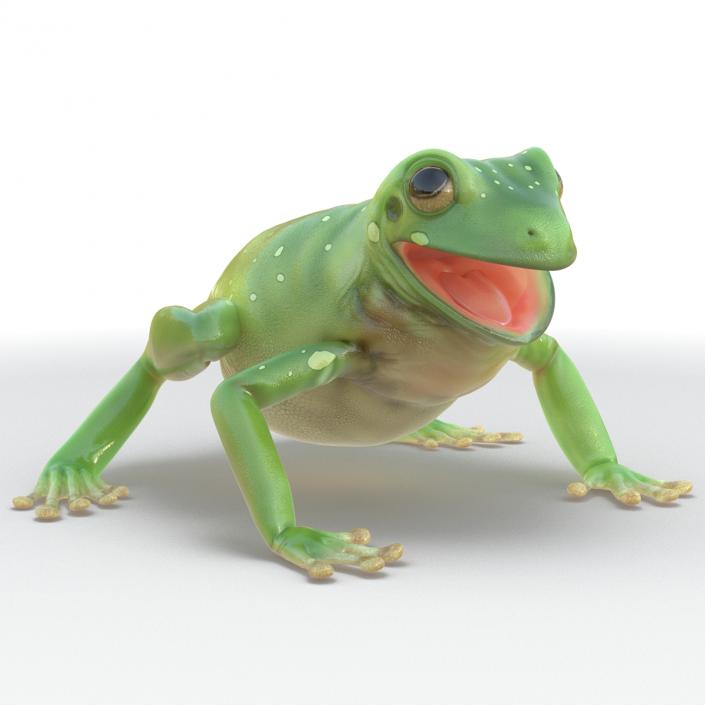 3D Australian Green Tree Frog Pose 4 model