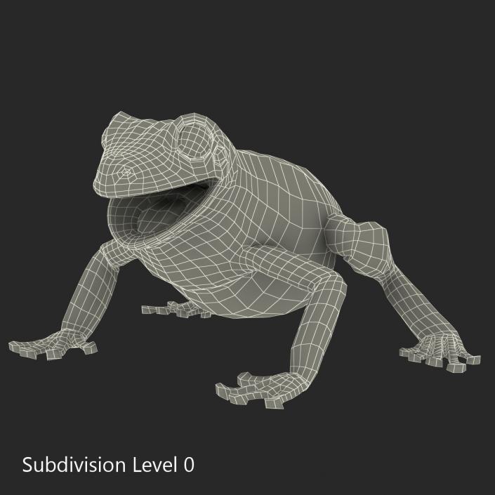 3D Australian Green Tree Frog Pose 4 model