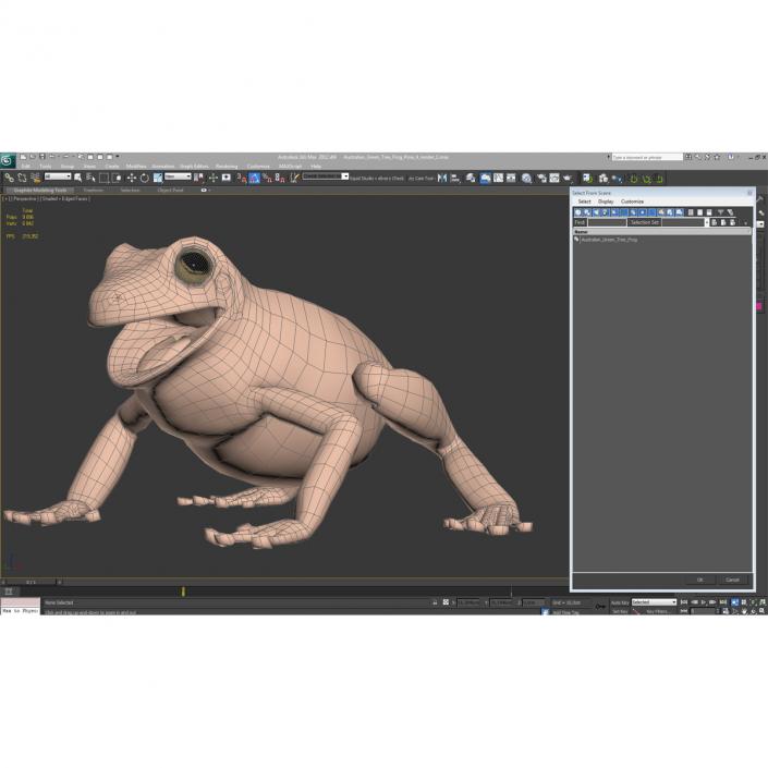 3D Australian Green Tree Frog Pose 4 model