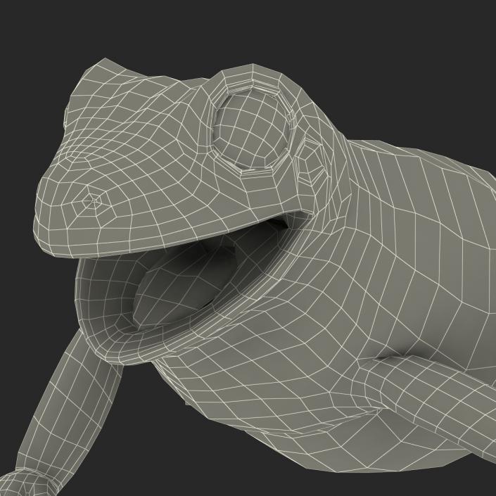 3D Australian Green Tree Frog Pose 4 model