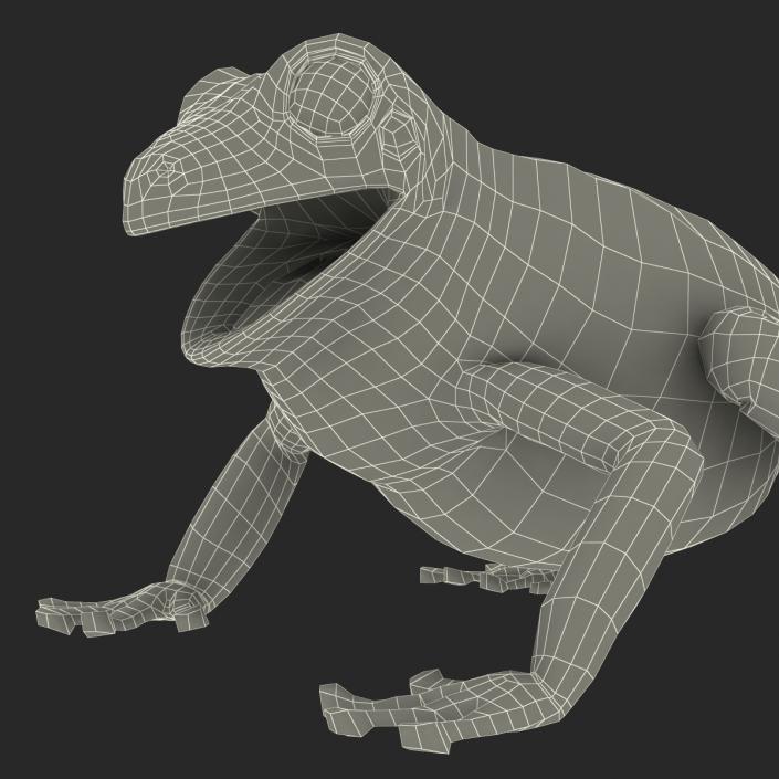 3D Australian Green Tree Frog Pose 4 model