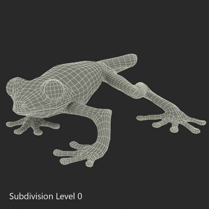 3D model Red Eyed Tree Frog Pose 3