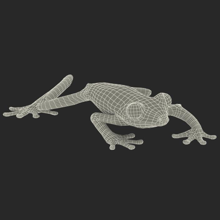 3D model Red Eyed Tree Frog Pose 3