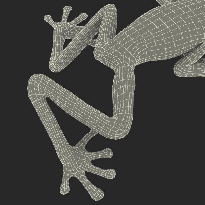 3D model Red Eyed Tree Frog Pose 3