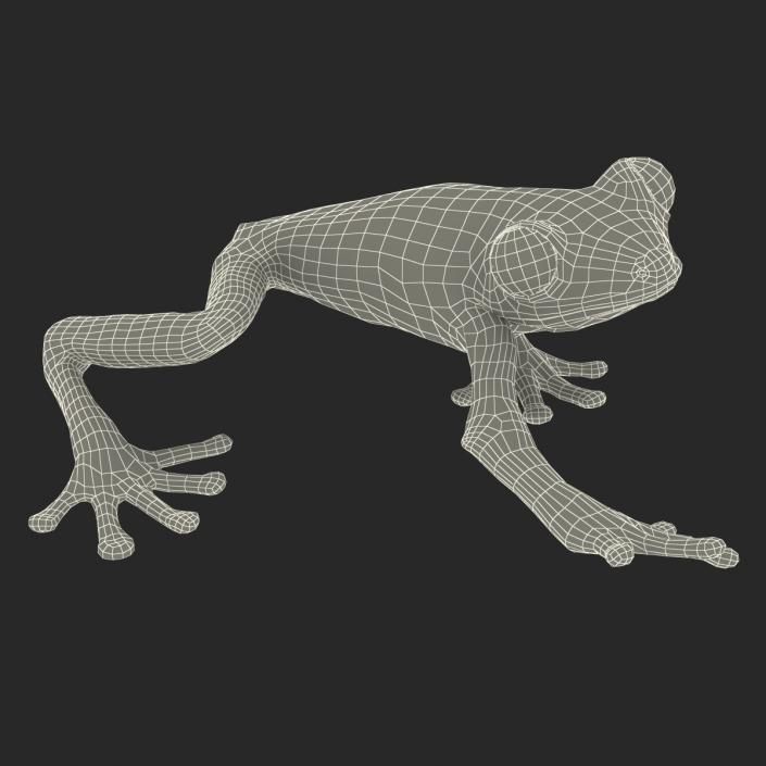 3D model Red Eyed Tree Frog Pose 2