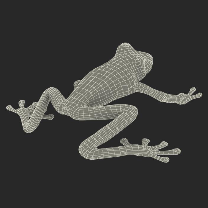 3D model Red Eyed Tree Frog Pose 2