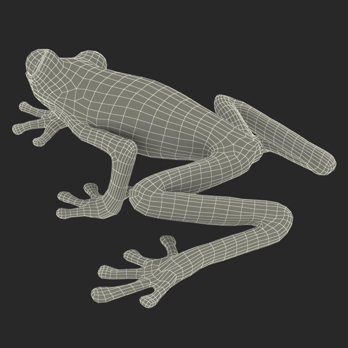 3D model Red Eyed Tree Frog Pose 2