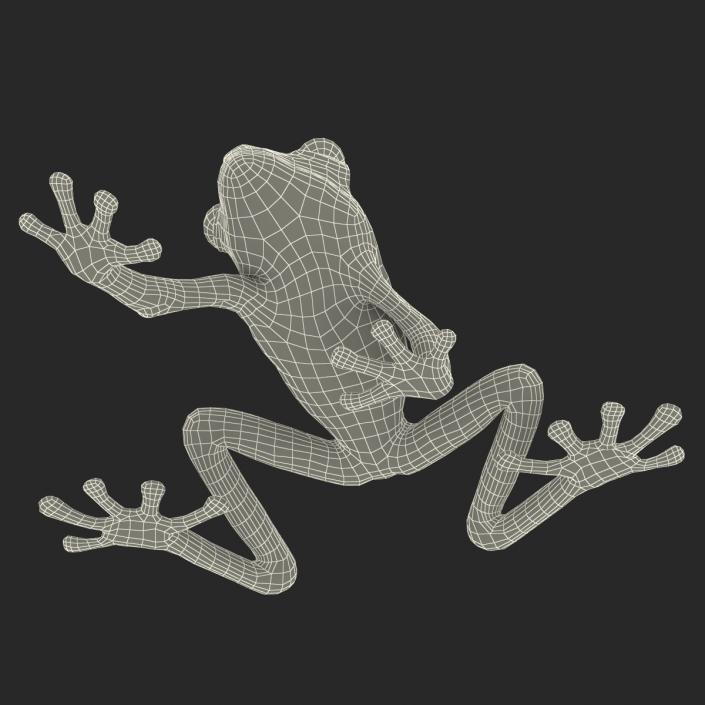 3D model Red Eyed Tree Frog Pose 2