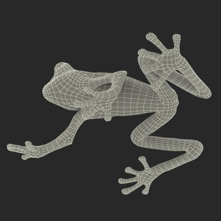 3D model Red Eyed Tree Frog Pose 2