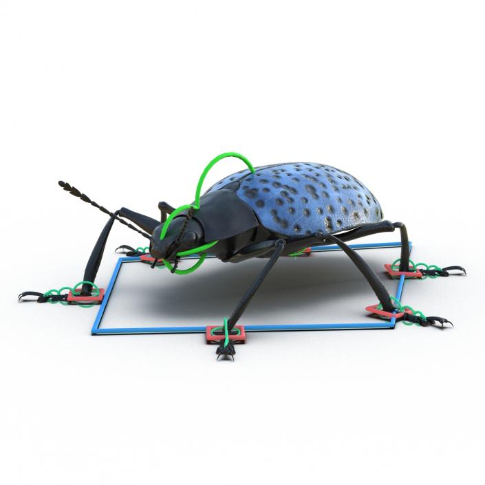 3D model Gibbifer Californicus Beetle Rigged