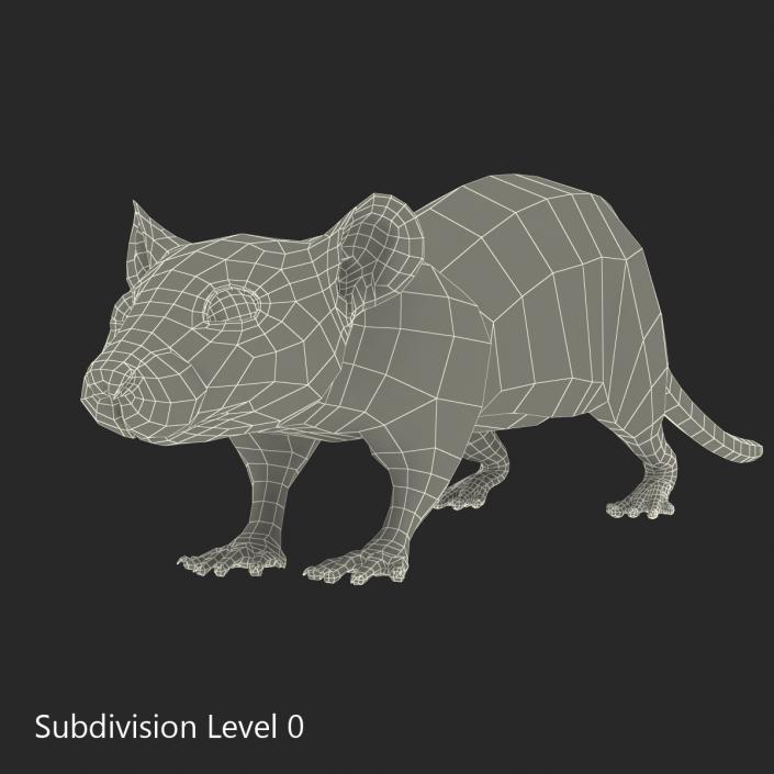 Rat 2 3D model