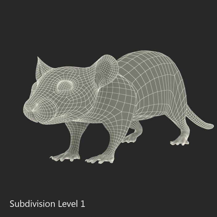 Rat 2 3D model