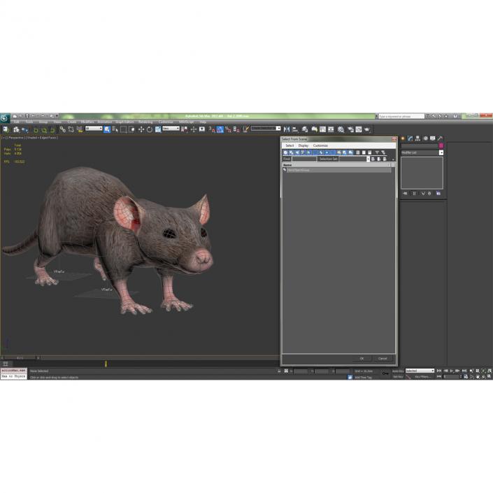 Rat 2 3D model